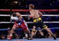 ボクシング、WBO世界スーパーフライ級タイトルマッチ。アントニオ・ニエベス（左）にパンチを打ち込む井上尚弥（2017年9月9日撮影）。(c)AFP/Getty Images/Jeff Gross