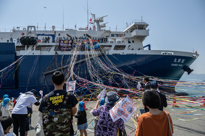Japan's new whaling mothership sets sail on first hunt