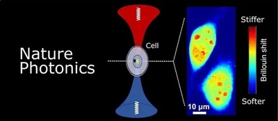中国の科学者 高度な時間・空間分解能を備えたブリルアン顕微鏡の開発に成功
