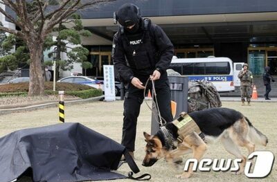 悪夢の結婚記念日…“爆弾仕掛けた”ニセ電話、韓国の結婚式場で避難騒ぎ