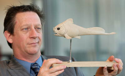 「体内受精」の性行為、3億8500万年前に始まった 研究