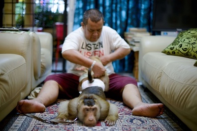 2匹は家族、サルと暮らす男性 マレーシア