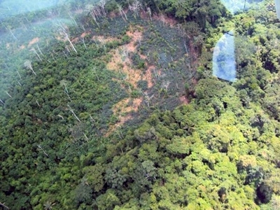 アマゾン先住民80人虐殺か、ベネズエラ 政府は否定