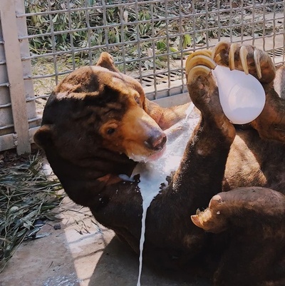 南京市民、ネット通して「老馬」を続々追悼