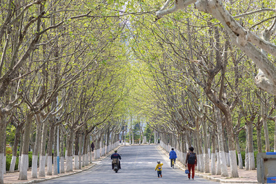 中国の研究者、マイクロ波によるロボット駆動に成功