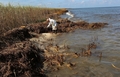 米ルイジアナ（Louisiana）州ベニス（Venice）の湿地帯で、漂着原油による被害状況を調べる環境保護団体グリーンピース（Greenpeace）USAのフィル・ラドフォード（Phil Radford）事務局長（2010年5月20日撮影）。(c)AFP/Getty Images/John Moore