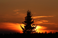 スロバキア・タトラ（Tatra）山脈そばで撮影された夕焼け（2010年4月3日撮影）。(c)AFP/JOE KLAMAR