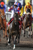 競馬ドバイ・ワールドカップ（Dubai World Cup 2011、オールウェザー2000m）。優勝を飾りガッツポーズを見せるヴィクトワールピサ（Victoire Pisa、牡4歳）騎乗のミルコ・デムーロ（Mirco Demuro）騎手（2011年3月26日撮影）。(c)AFP/KARIM SAHIB