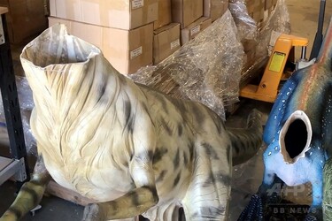 恐竜模型3体の頭部、何者かが切断 豪博物館 写真1枚 国際ニュース