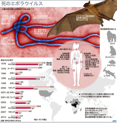【図解】死のエボラウイルス