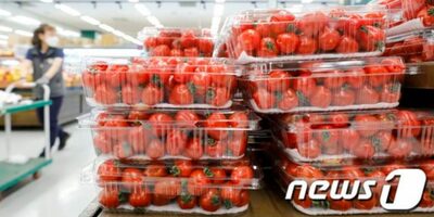 盗んだミニトマト、食べ残しを持ち出頭した韓国の母…生活苦「6歳の娘に食べさせたかった」