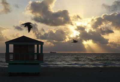 溺れる男性を救助したらクビに!?米ライフセーバー