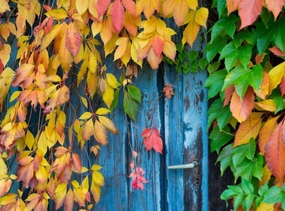 大地も空も秋模様、冬へ向かうドイツ