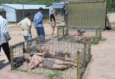 戦争の歴史を後世に伝える刑務所跡地、ベトナム南部