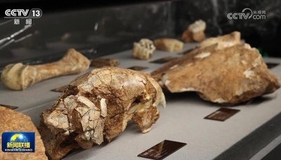 中国華龍洞遺跡の華龍洞人 東アジア最古の人類と考古学的に実証