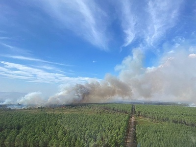 仏ジロンド県でまた山火事、民間人も消火活動