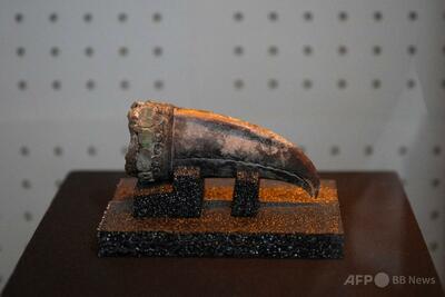 米州最古の文明、高位女性のミイラ発見 ペルー