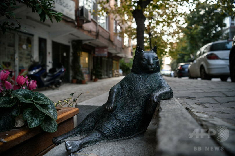「大物風」ポーズで人気の名物猫、像になって帰還 トルコ