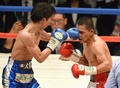 ボクシング、WBA世界ライトフライ級タイトルマッチ12回戦。王者アルベルト・ロセル（Alberto Rossel、右）と対戦する田口良一（Ryoichi Taguchi、2014年12月31日撮影）。(c)AFP/Toru YAMANAKA