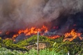 ギリシャ西部ペロポネソス半島にあるオリンピアの古代遺跡近くで起きた山火事（2021年8月4日撮影）。(c)STR / Eurokinissi / AFP