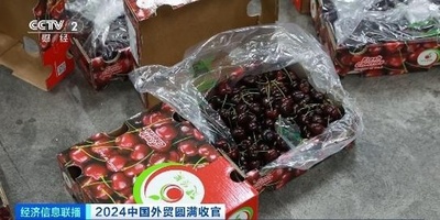チリ産チェリーの92%超が中国へ輸出 「年越し」が後押しする食品輸入