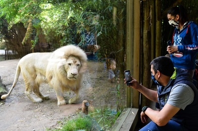 ジロジロ見られるのは久しぶり？ 仏動物園にマスク姿の来園者