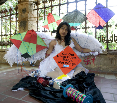 凧揚げの野鳥被害にPETAが抗議