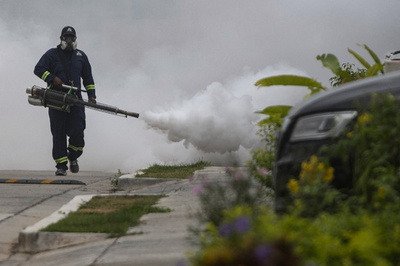 ガラパゴス諸島に不妊化した蚊10万匹放出 エクアドル