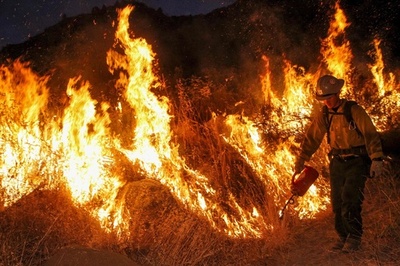 米カリフォルニア州で大規模な山火事、消火活動続く