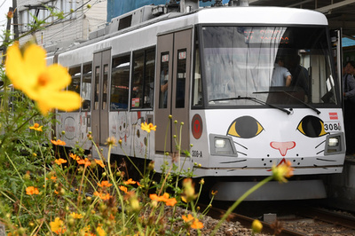 期間限定の「招き猫」が快走、東急世田谷線　東京
