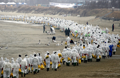 韓国沖の原油流出事故、汚染がさらに拡大