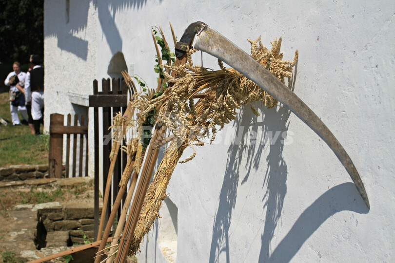 中世の農村が復活？チェコで伝統の収穫祭