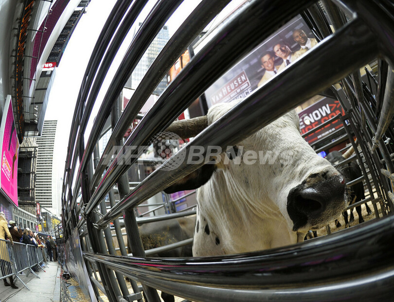 ニューヨークの真ん中でロデオ大会