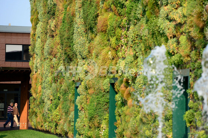 壁に植物4万本、世界最大の「垂直庭園」 イタリア