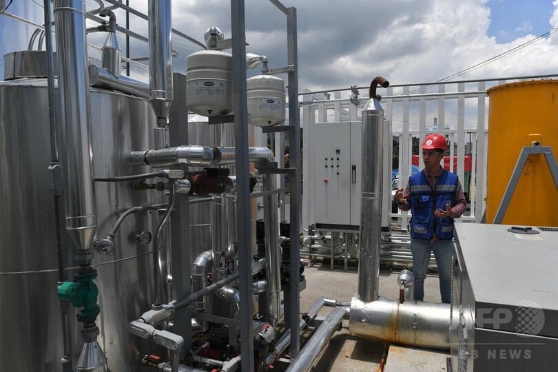 サボテンは未来のエネルギー源となるか メキシコ