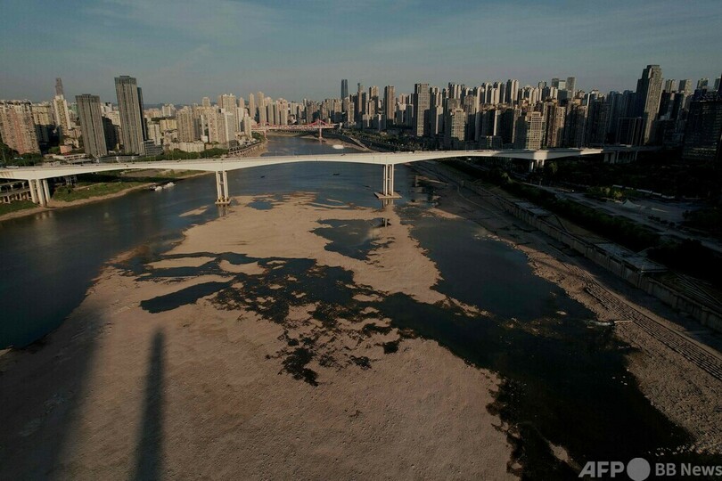 作物全滅…記録的猛暑にあえぐ農家 中国・重慶