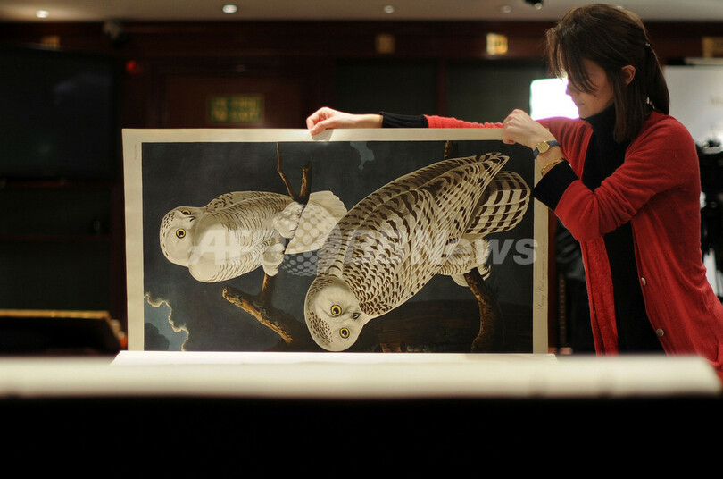 オーデュボンの鳥の本、書籍の史上最高額で落札