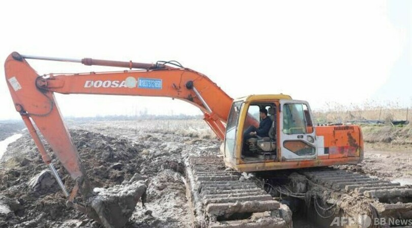 「カニ＋水草」で潤う中国・湖南省の養殖家 湖の環境も改善