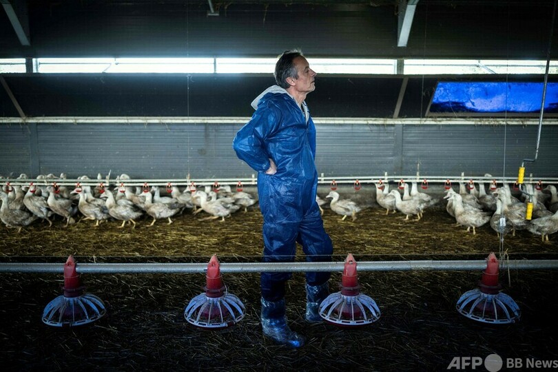 鳥インフルの影響でフォアグラ不足 代替手段でしのぐ 仏