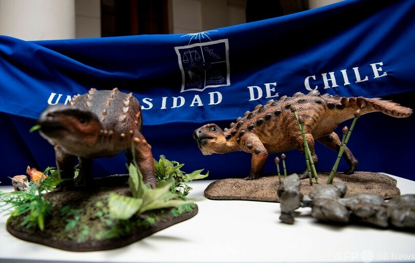 シダのような尾を持つ草食恐竜、チリで化石発見