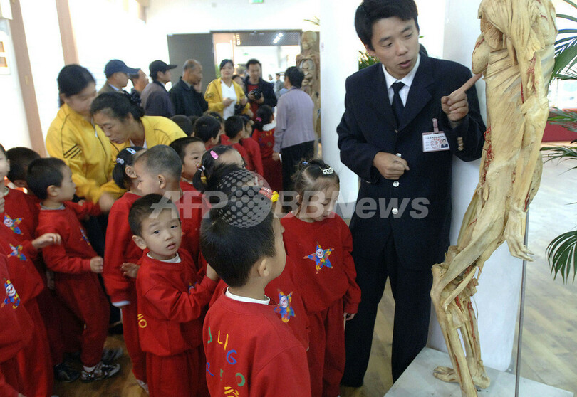 中国で実物の皮膚や臓器を使用した人体展覧会