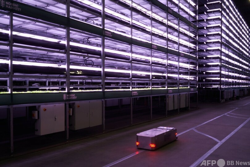 欧州最大規模の「垂直農場」、デンマークに誕生