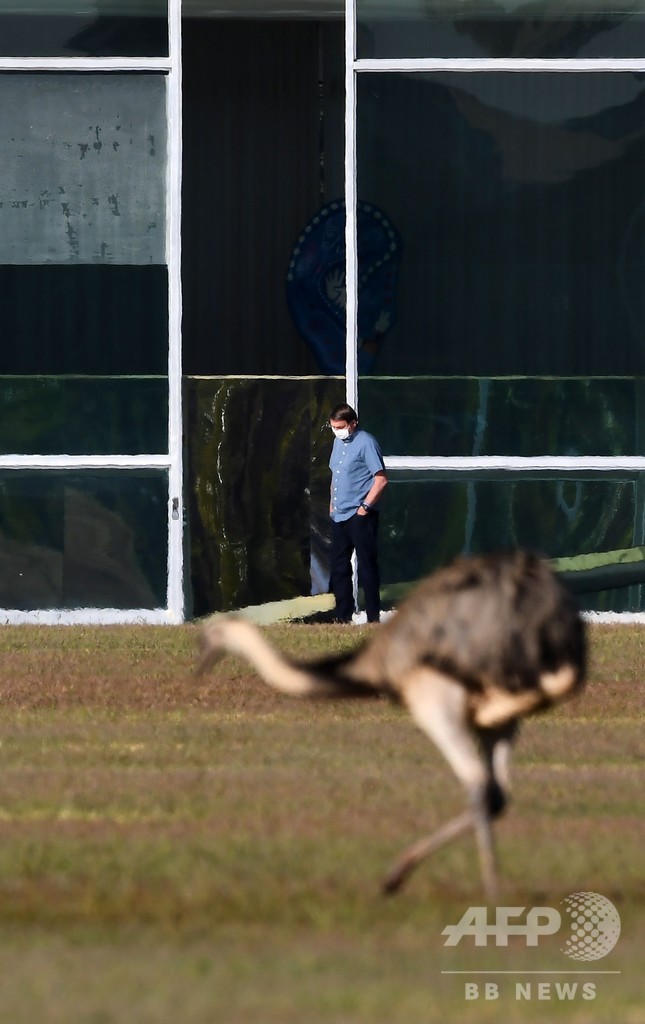 コロナ陽性のブラジル大統領、隔離生活は「もう耐えられない」 再検査へ