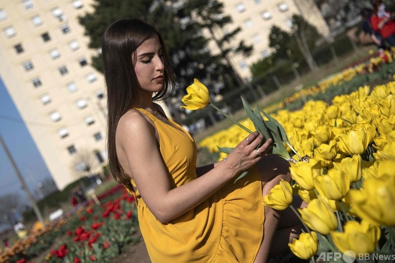 伊ローマでチューリップが見頃 花摘みも 