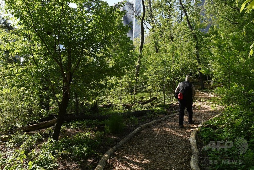 セントラルパークの隠れた自然保護区、80年ぶり一般開放