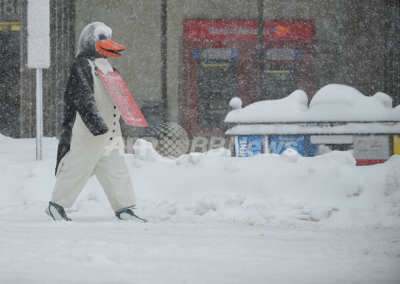 雪化粧のワシントンD.C.