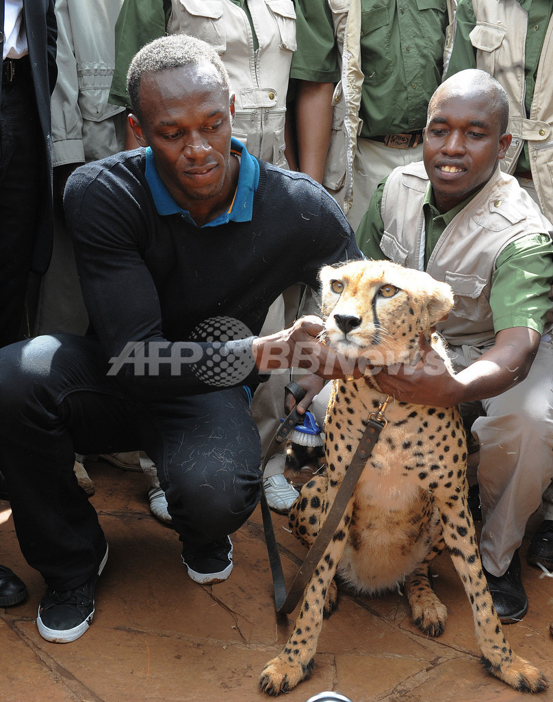 チーターに挑戦状？人類最速ボルトがケニア・ナイロビ訪問