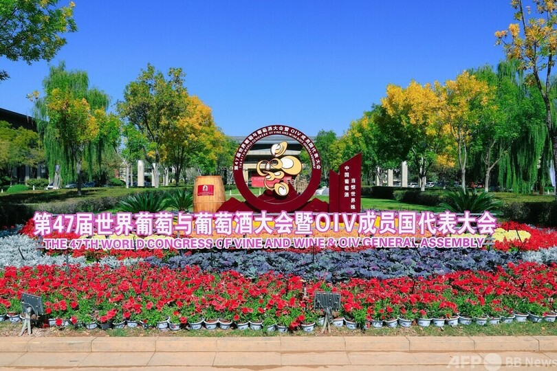 第47回世界ブドウ・ワイン大会が中国・寧夏で開幕