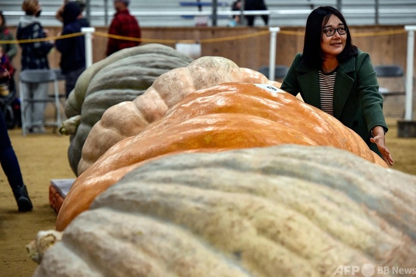 優勝は950キロ！ 米カボチャコンテスト 