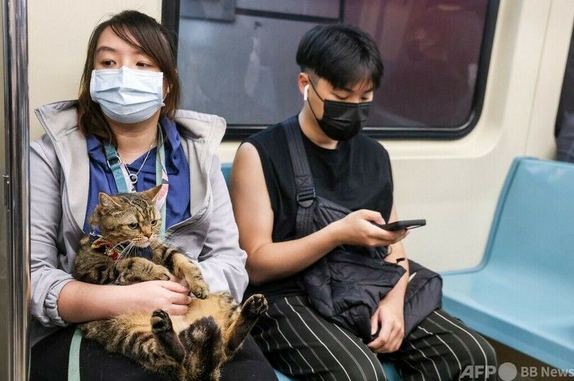 台湾の地下鉄で「ペットフレンドリー列車」運行